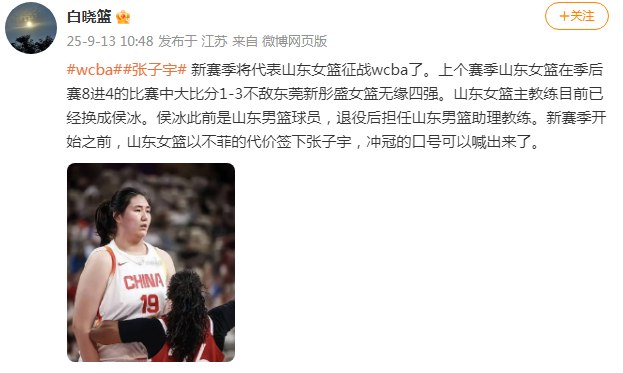 退役后担任, 对阵新西兰 退役后担任, 对阵新西兰